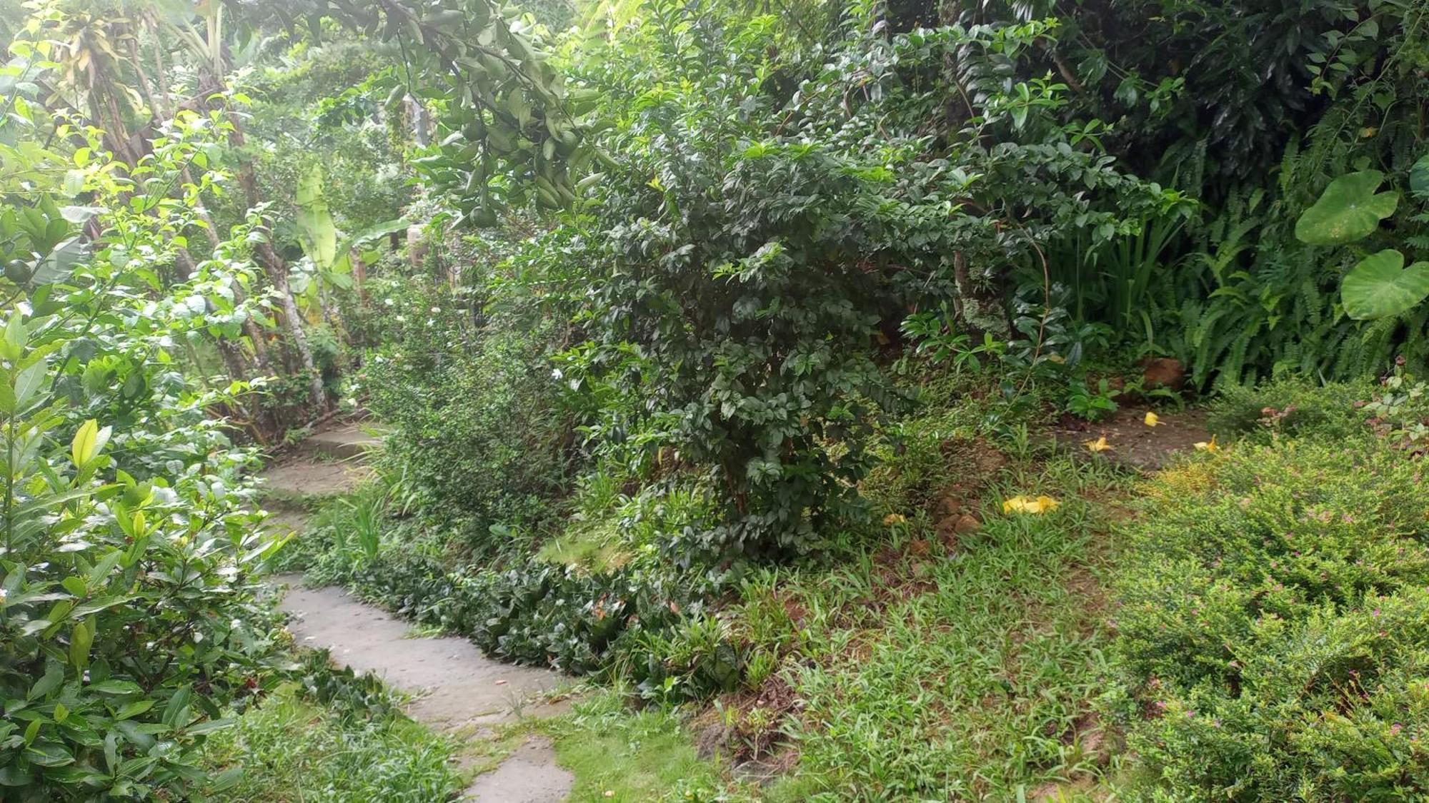 Ilha Grande - Casa Praia Da Longa Exteriör bild